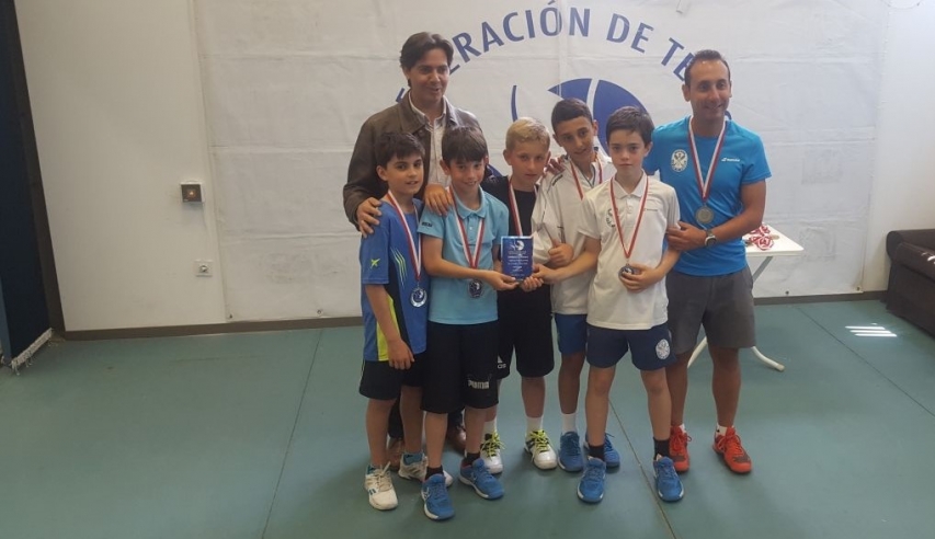 Competición federada